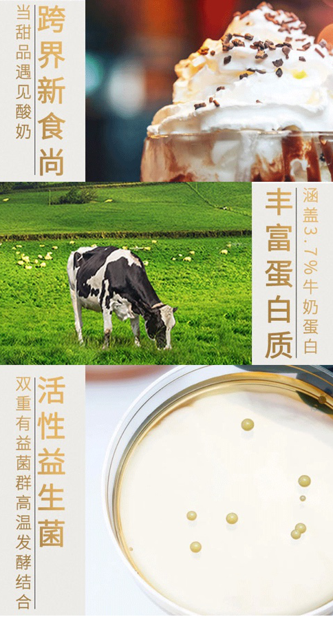 好享閑”甜品時刻，享受酸奶新風尚