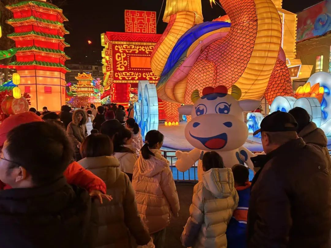 央視直播鄭州龍年燈會迎新春，花花牛品牌上大分