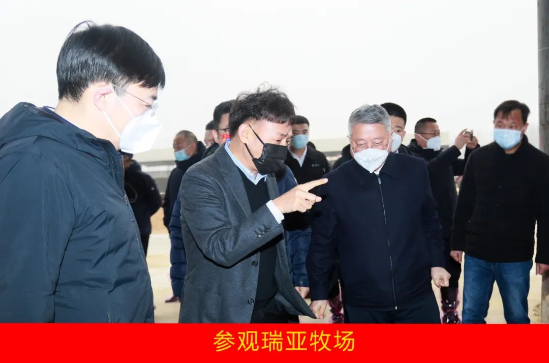 新年開新局 合作促發(fā)展丨佳木斯市委常委、副市長閆志剛一行蒞臨花花牛乳業(yè)集團(tuán)及佳田企業(yè)考察座談