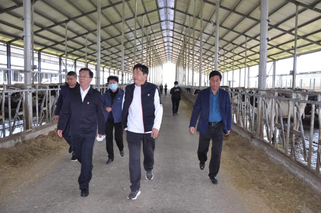 商丘市委常委、宣傳部部長王全周一行蒞臨睢縣瑞亞牧業(yè)有限公司調(diào)研