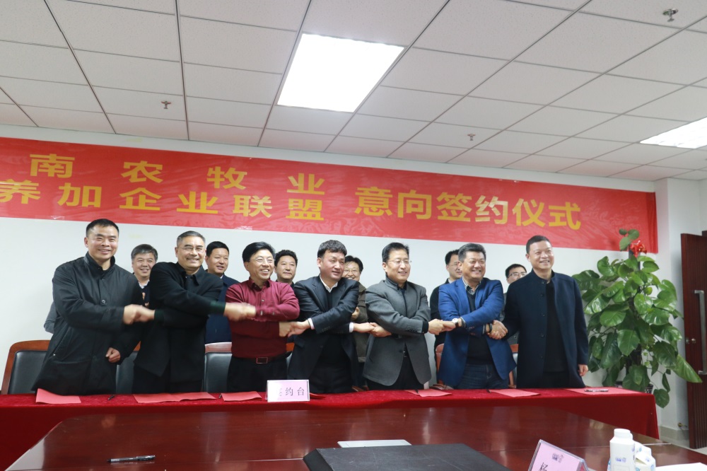 涉農(nóng)企業(yè)強(qiáng)強(qiáng)聯(lián)合，“抱團(tuán)取暖”共迎企業(yè)發(fā)展的春天