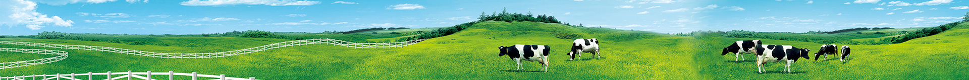 http://www.njtianshui.com/data/upload/202412/20241225200749_228.jpg