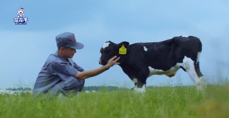 中國動物衛(wèi)生流調中心首席科學家范偉興一行蒞臨花花牛郟縣發(fā)展、魯山瑞亞參觀調研